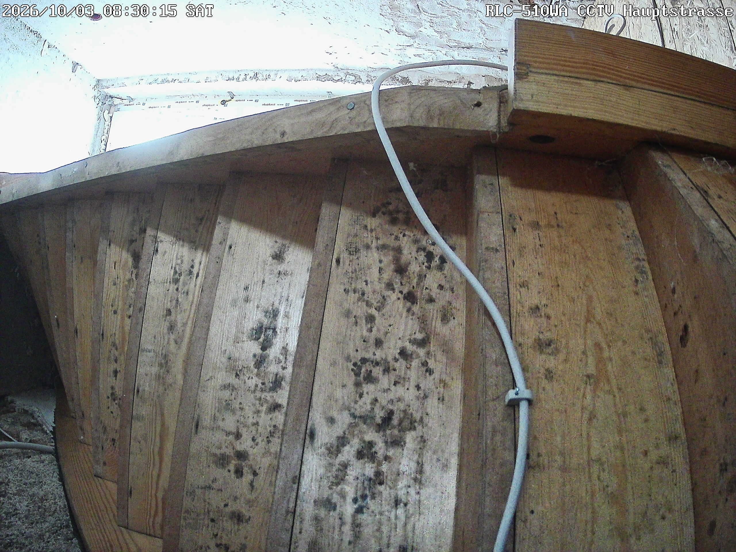 RLC-510WA CCTV Hauptstrasse_00_20261003083016.jpg